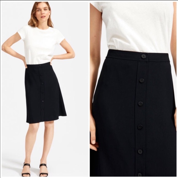 Everlane Dresses & Skirts - Everlane Japanese GoWeave Swing Skirt, 8